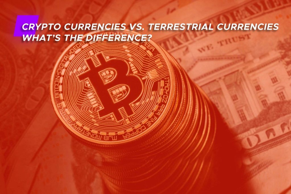 Terrestrial