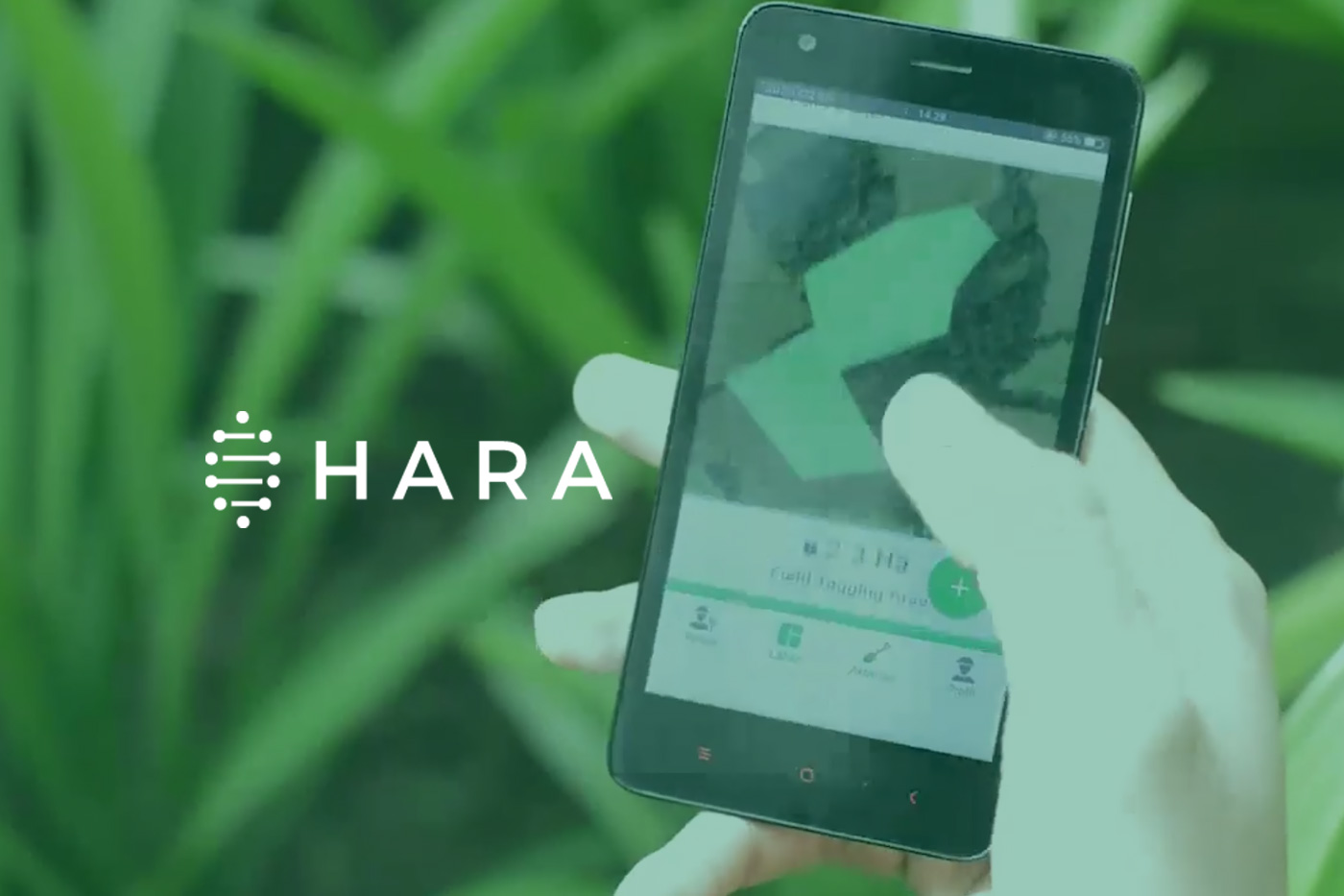 HARA