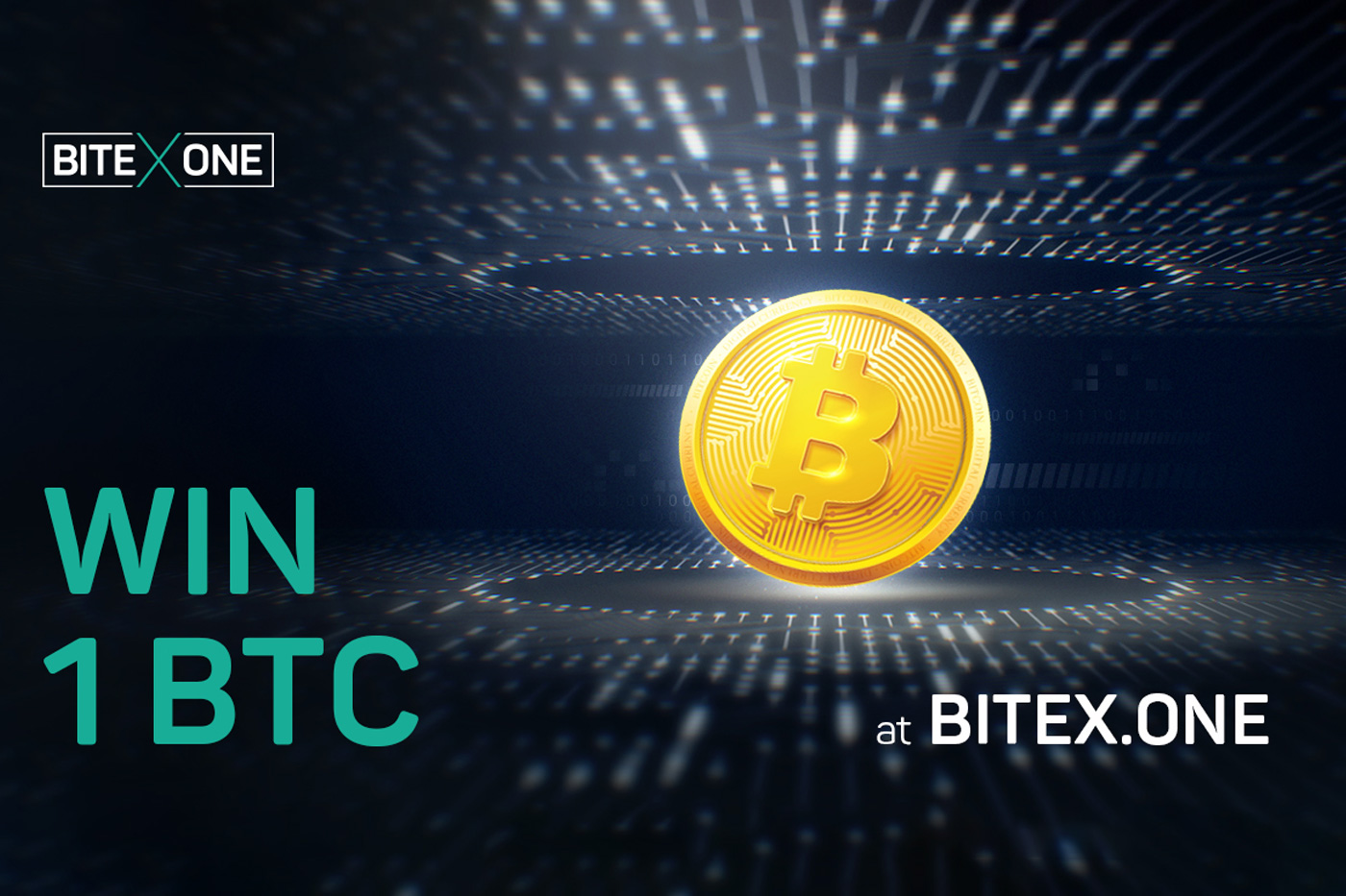 Bitex One