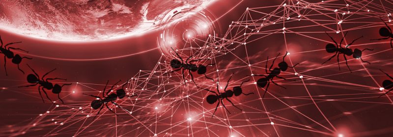 Red Ants Decentralization