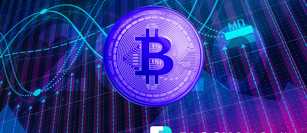 Bitcoin Price Predictions