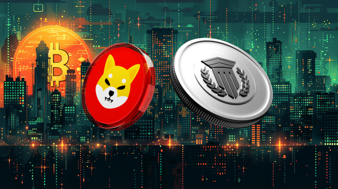Mutuum Finance