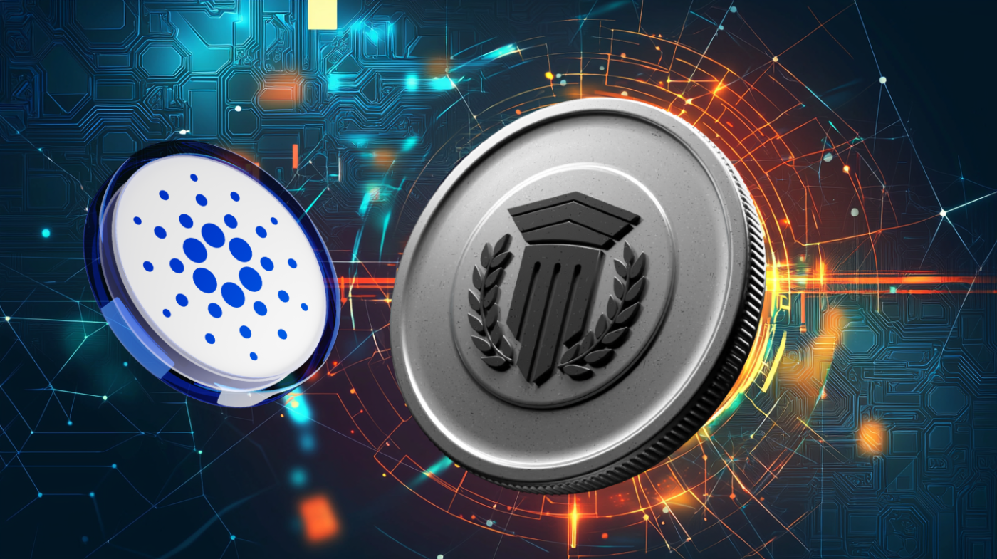 Mutuum Finance