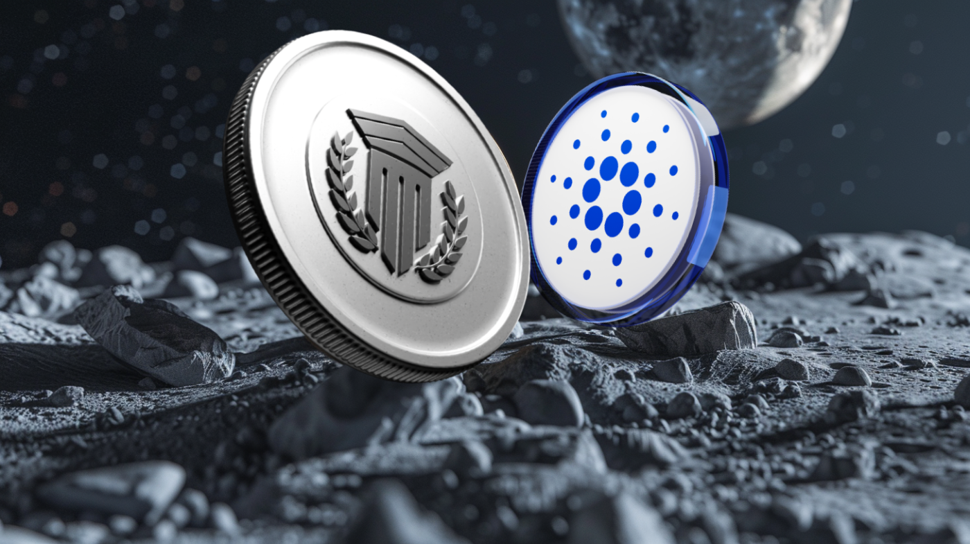 Mutuum Finance