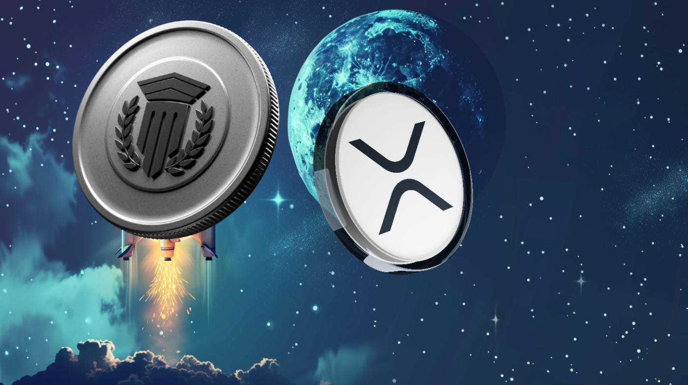 Mutuum Finance