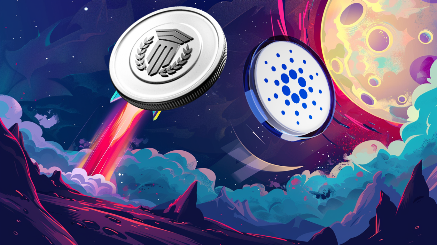 Mutuum Finance