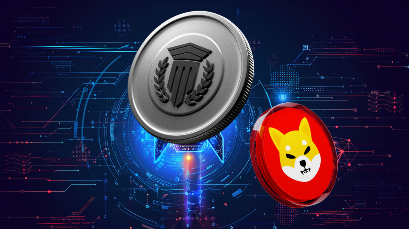 Mutuum Finance