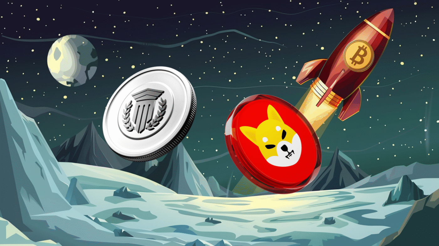 Mutuum Finance