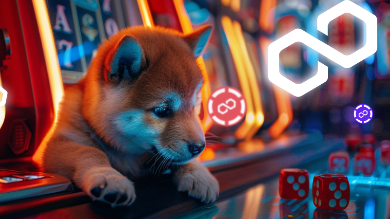 Why Polkadot And Cardano Investors Are Setting Their Sights On Joining This Top Crypto Presale Early