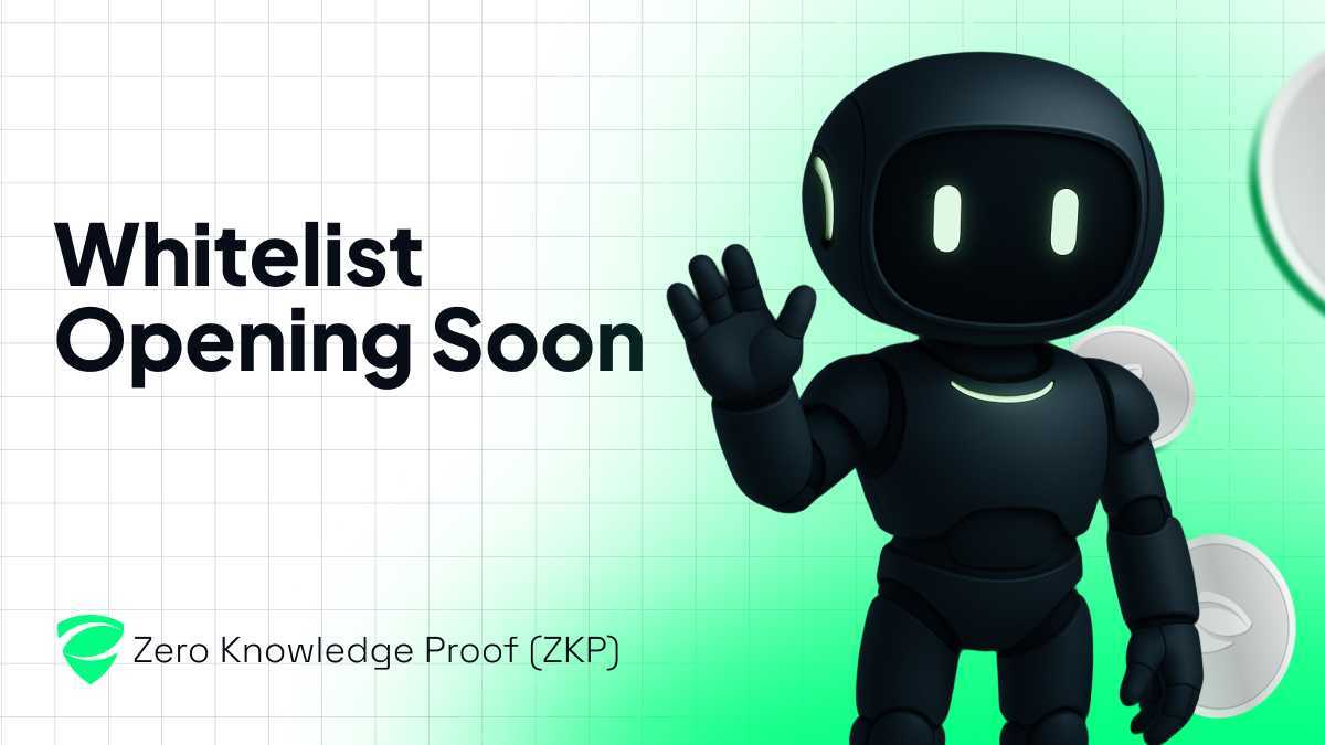 Zero Knowledge Proof