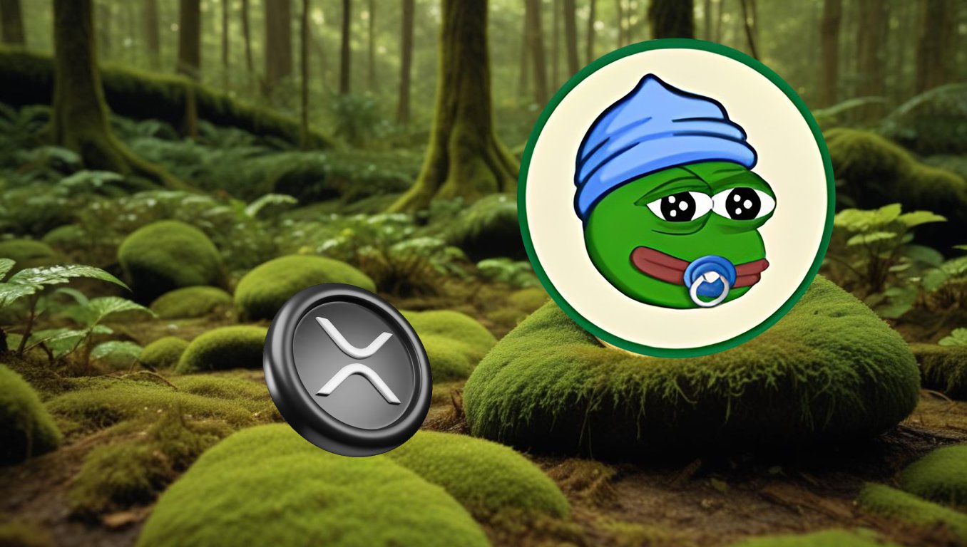 3 criptos favorecidas por inversores inteligentes que vieron la oportunidad en XRP a $0,50