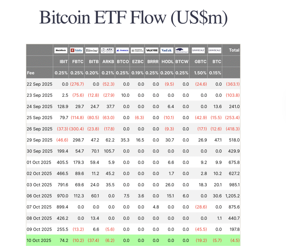 Bitcoin ETF 資金流入暫停：XRP 和 Solana 抵抗市場壓力，現在最佳購買的山寨幣