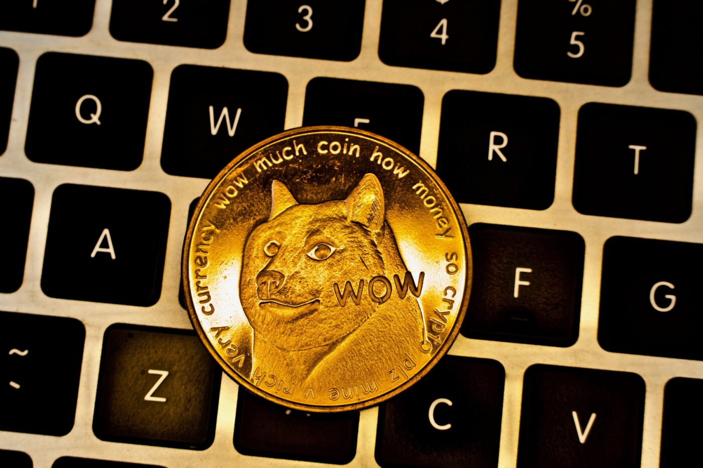 DOGE to $1? Smart Money Pivot to XLM & Digitap for Life-Changing Gains in 2025