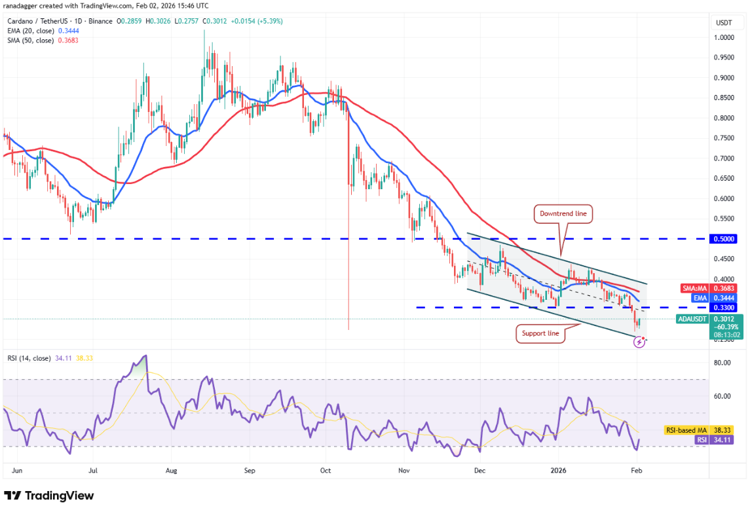 Top 3 Cryptos Primed for Massive Upside in 2026
