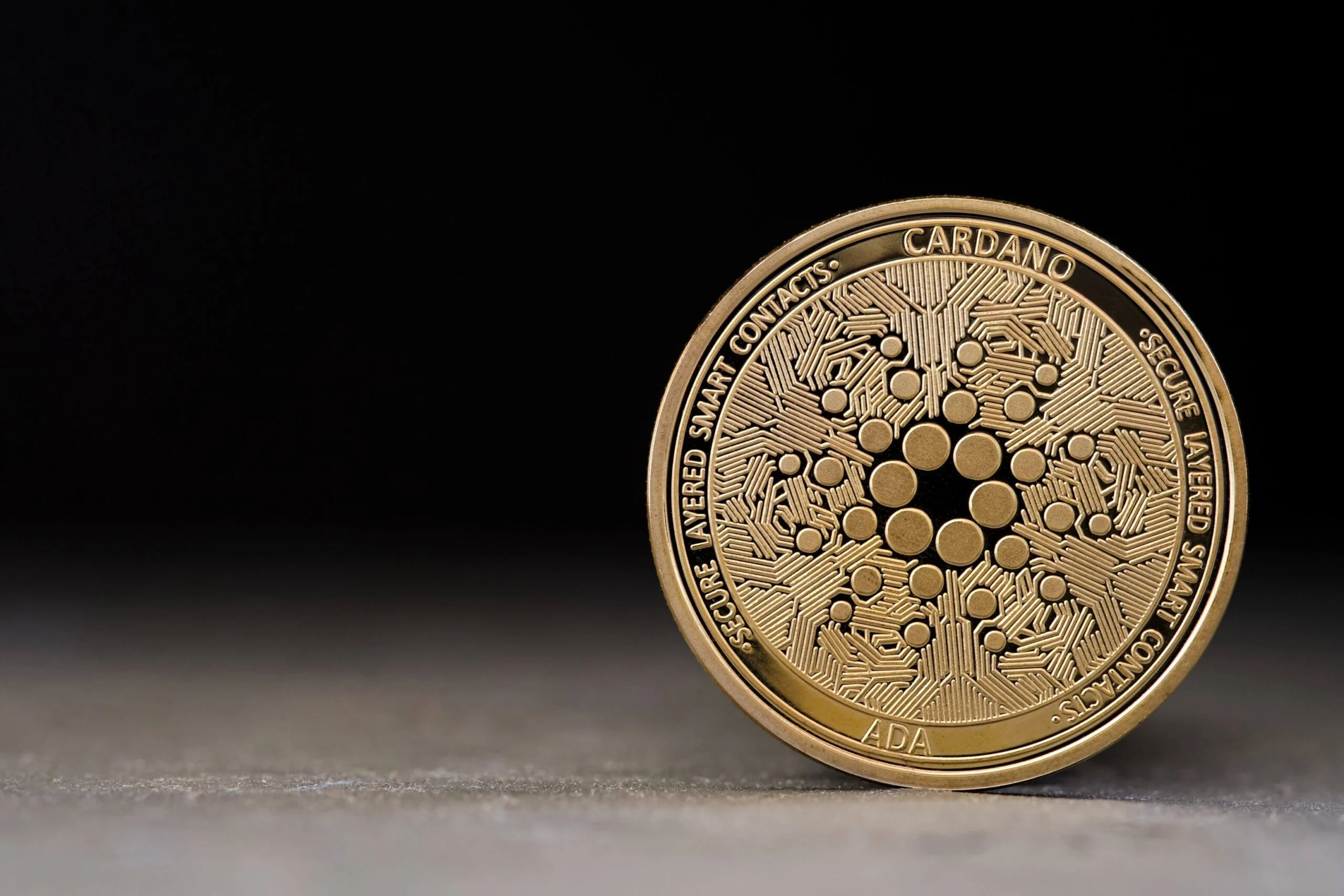 Cardano (ADA) Whales Accumulate at Highest Rate Since 2020 Amid Price Consolidation