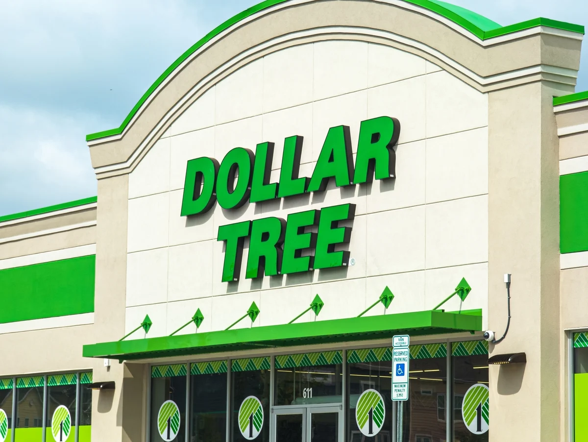 Dollar Tree (DLTR) Stock Drops Despite Impressive Q2 Earnings Beat